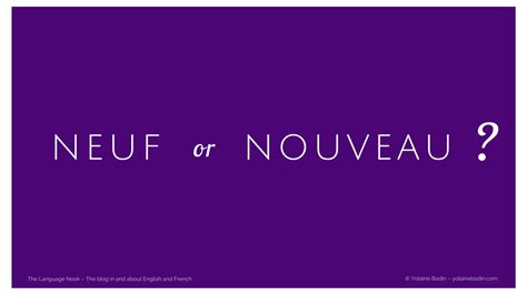 noevel|nouveau meaning in french.